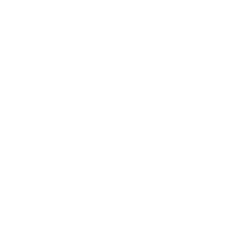 FMT White Logo